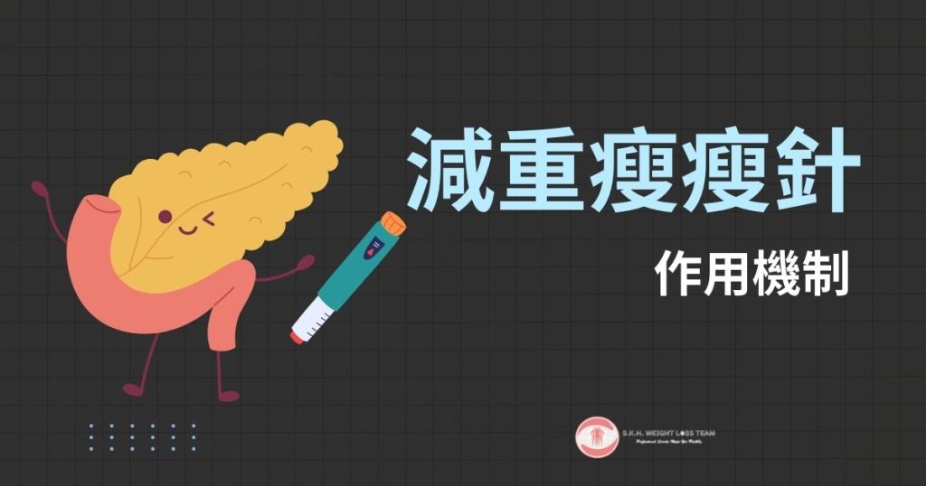 Threads瘋傳的魔法瘦瘦針解析,醫生親解瘦身原理 2 瘦瘦針