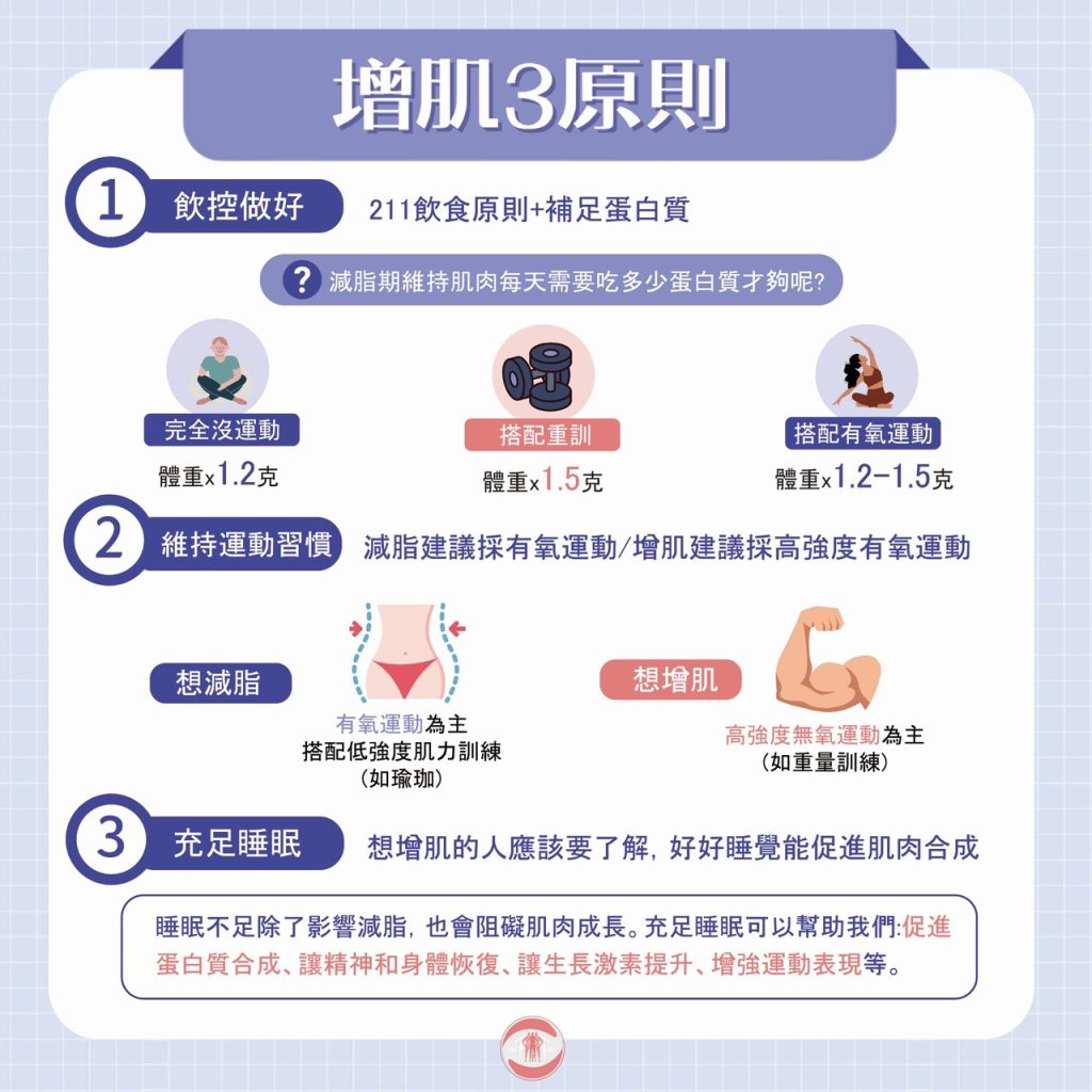 增加肌肉原則