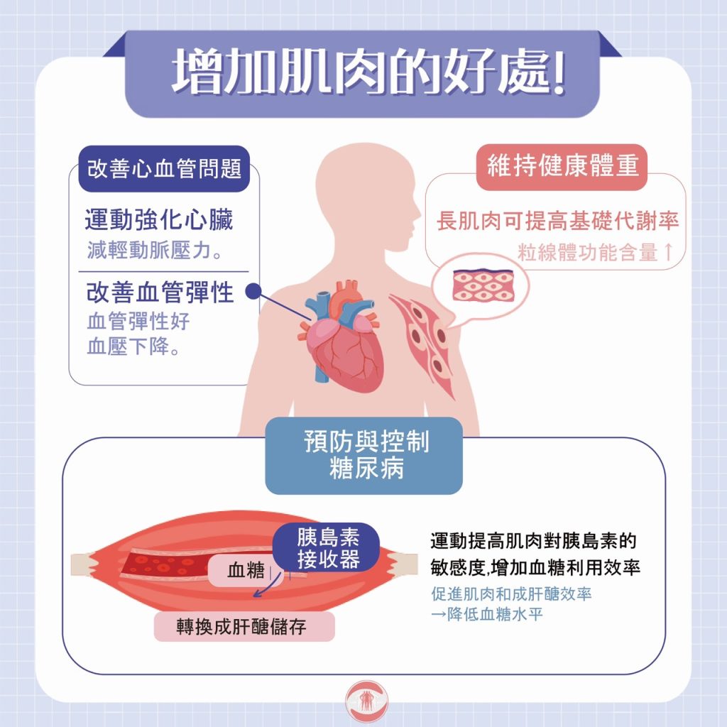 增加肌肉好處