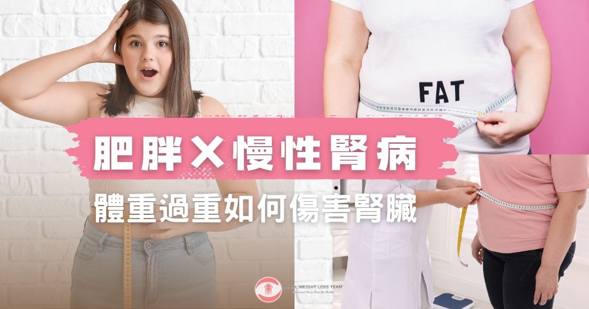 肥胖和慢性腎病