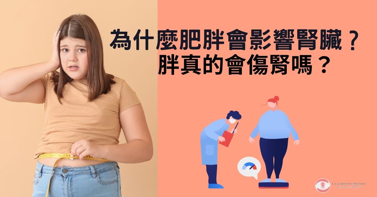 胖真的會傷腎嗎？