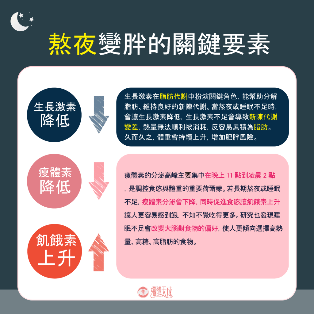 睡眠肥胖 12