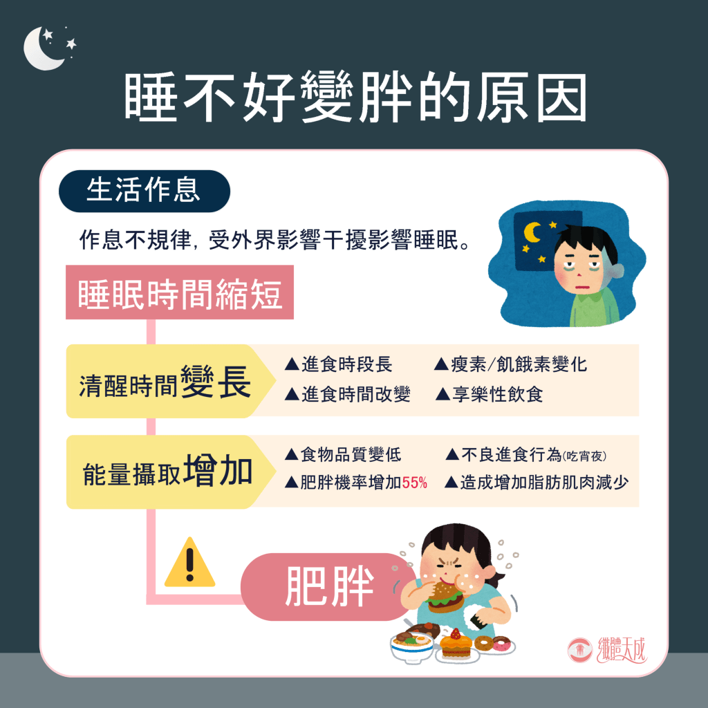 睡眠肥胖 6